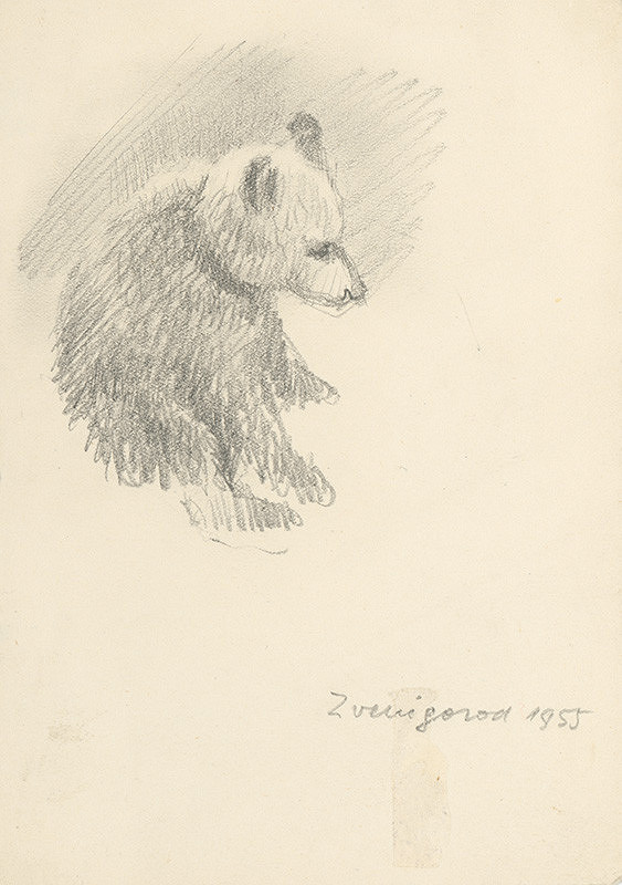 Ľudovít Ilečko – Baby Bear