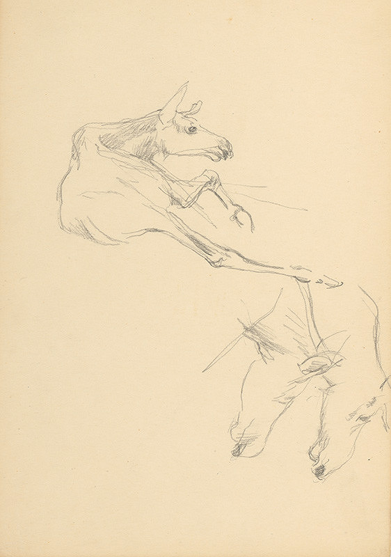 Ľudovít Ilečko – Sketches of a Horse