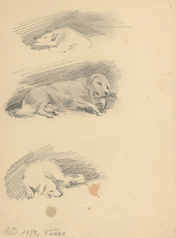 Ľudovít Ilečko – Sketches of a Dog