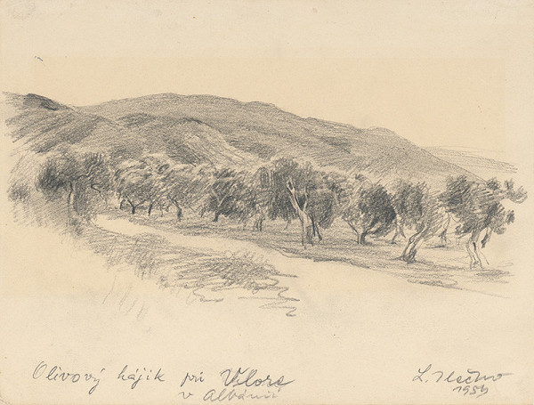 Ľudovít Ilečko – Olive trees by Vlorë