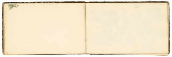 František Belopotocký – Náčrt stromu 