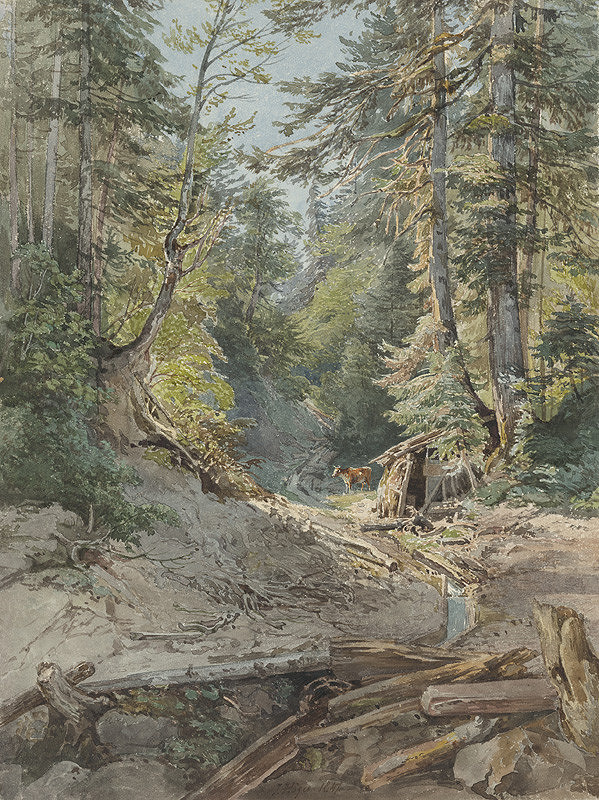 Joseph Höger – Vnútro lesa