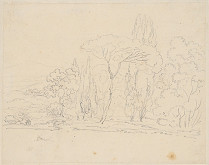 Vincenzo Camuccini – Landscape with Trees 