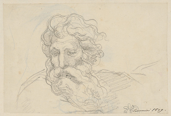 Vincenzo Camuccini – Hlava muža s dlhou bradou