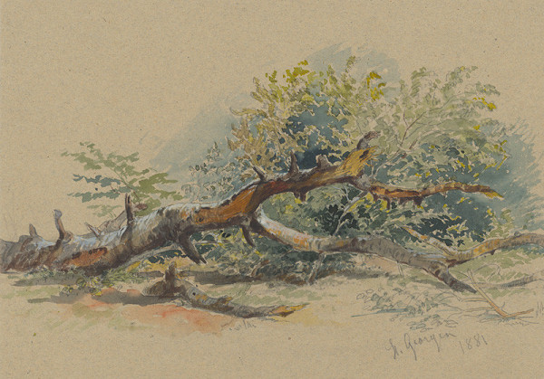 Friedrich Carl von Scheidlin – Study of a Cut Down Tree