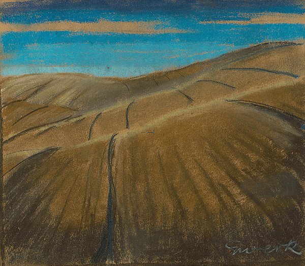 Edmund Gwerk – Zorané polia 