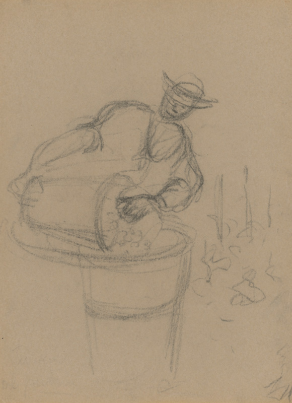 Štefan Polkoráb – Vysýpanie hrozna 