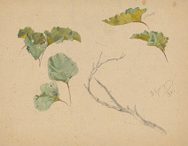 Friedrich Carl von Scheidlin – Štúdia listov III. 