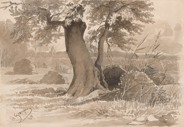 Friedrich Carl von Scheidlin – Krajina s košatým stromom v popredí