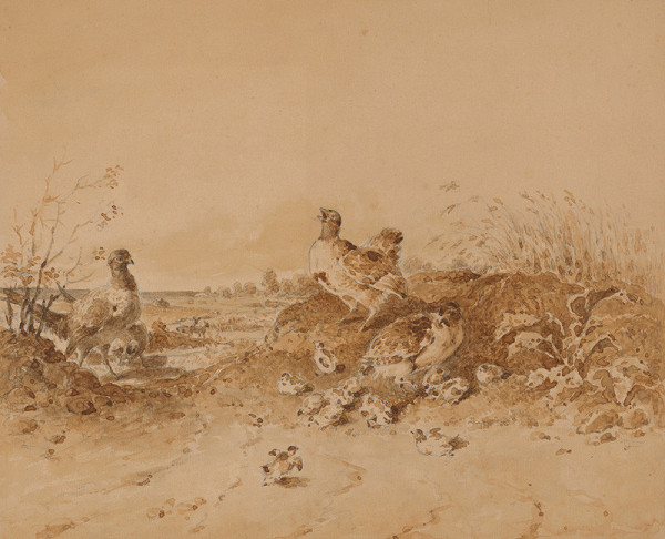 Friedrich Carl von Scheidlin – Jarabice v poli