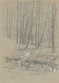 Friedrich Carl von Scheidlin – Potôčik v lese 