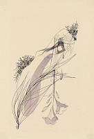 Mária Želibská – Portugal Sonnets - 1. 