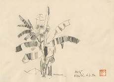 Anton Hollý – Štúdia stromu 