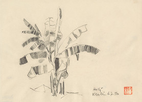 Anton Hollý – Štúdia stromu 