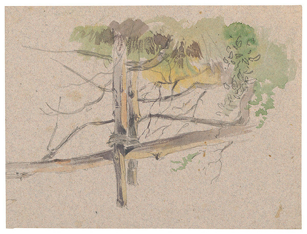 Friedrich Carl von Scheidlin – Study of Wooden Animal Trap 