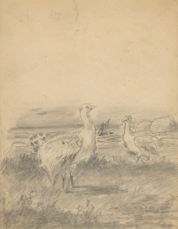 Friedrich Carl von Scheidlin – Turkeys