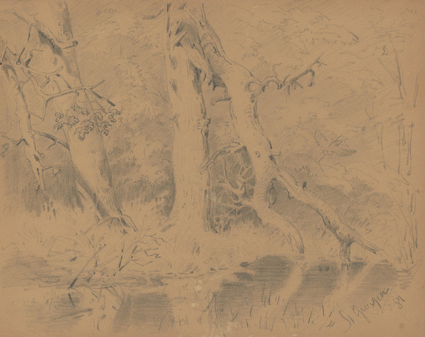 Friedrich Carl von Scheidlin – Lesné zákutie so zlomeným stromom 