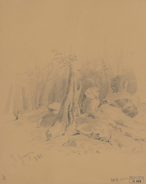 Friedrich Carl von Scheidlin – Štúdia stromov