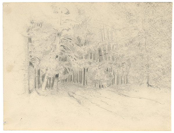 Friedrich Carl von Scheidlin – Forest Interior with a Path