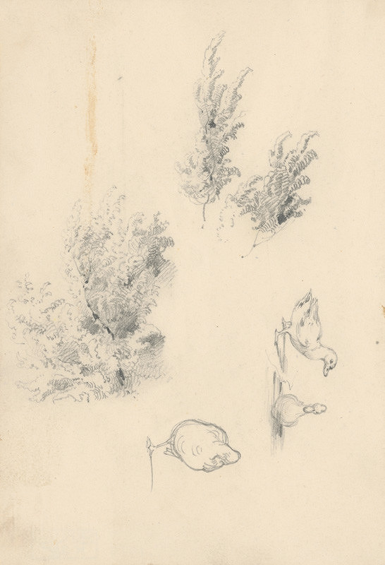 Friedrich Carl von Scheidlin – Štúdia lesného krovia. Kačičky 