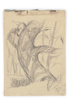 Zolo Palugyay – Štúdia starého stromu 