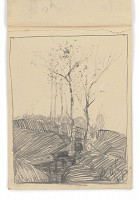 Zolo Palugyay – Stromy 