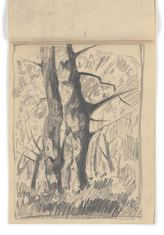 Zolo Palugyay – Štúdia suchého stromu 