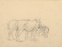 Friedrich Carl von Scheidlin – Štúdia dvoch pasúcich sa koní 