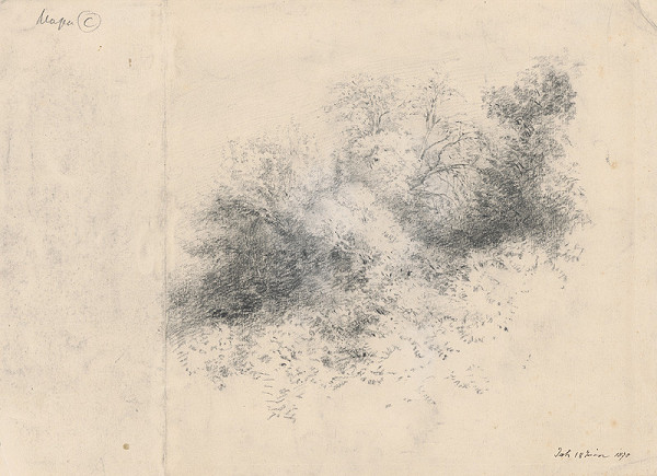 Ladislav Mednyánszky – Skupina kríkov a stromov 