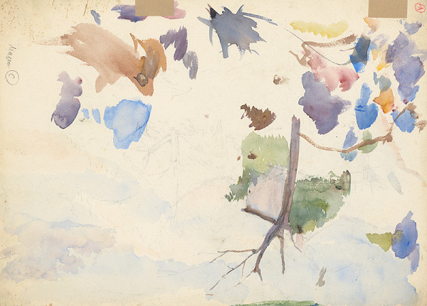 Ladislav Mednyánszky – Štúdia horských kvetov 