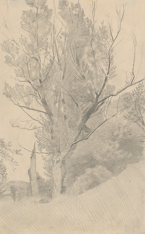 Ladislav Mednyánszky – Study of Branched Out Leafy Tree 
