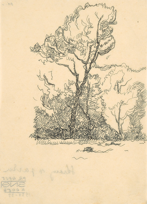 Július Koreszka – Stromy v parku