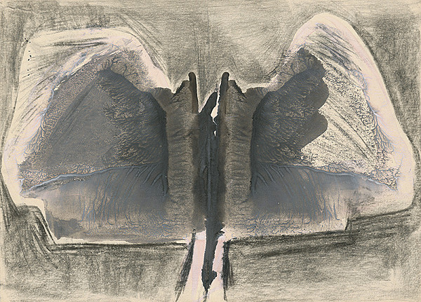 Jozef Jankovič – Grey Butterfly