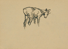 Július Koreszka – Study of a Deer 