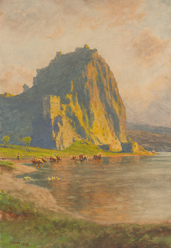 Jindřich Tomec – Hrad Devín