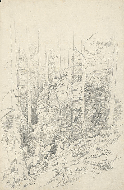 Vojtech Angyal – Skala v lese 