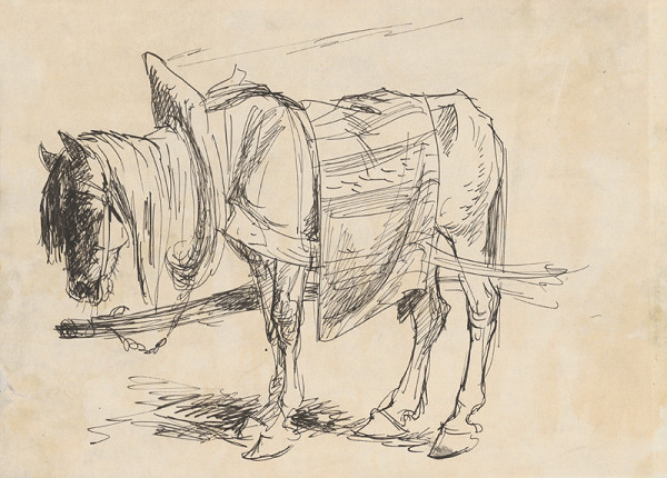 Fedor Klimáček – Study of a Horse