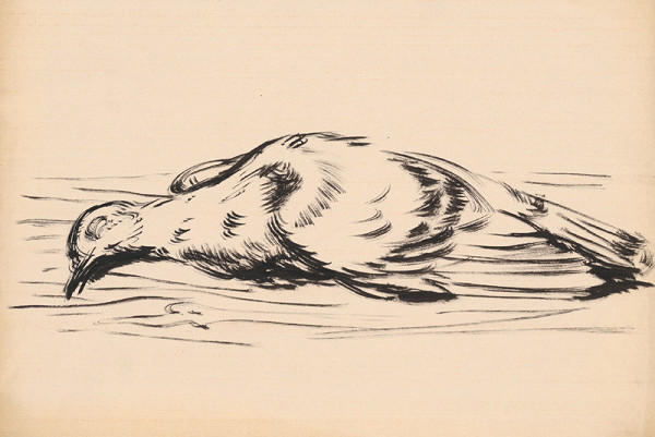 Fedor Klimáček – Mŕtvy vták 