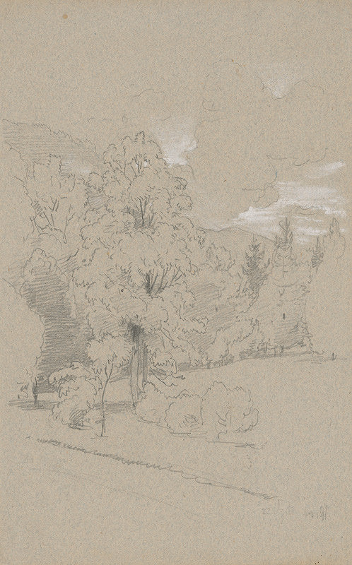 Jan Novopacký – Trees on the Edge of the Forest 