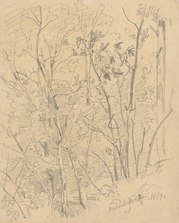 Jan Novopacký – Mladý les 