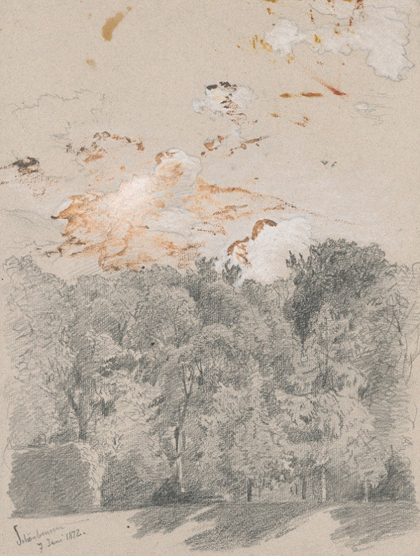 Jan Novopacký – Trees - Motif from Schönbrunn Park 