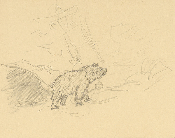 Jan Novopacký – Medveď 