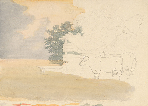 Jan Novopacký – Kravy 