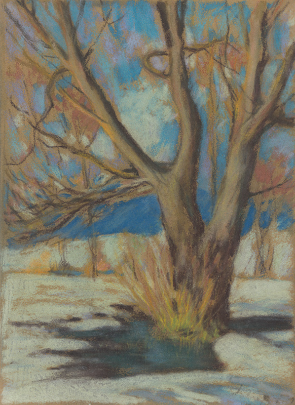 Zolo Palugyay – Štúdia holého stromu v zime