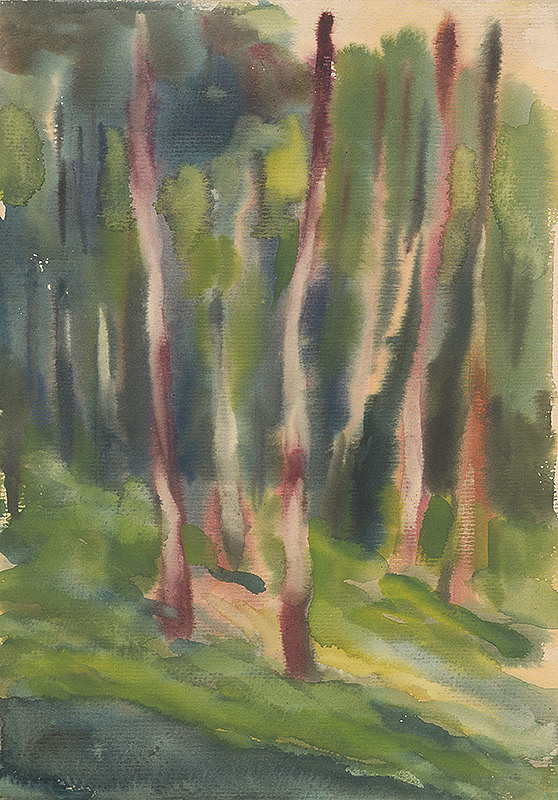 Zolo Palugyay – Birch Grove