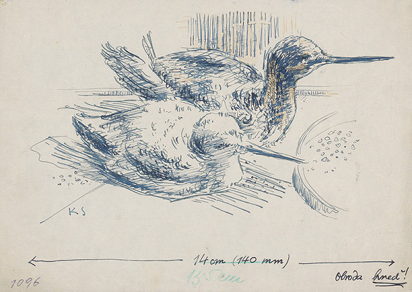 Koloman Sokol – Dvaja vtáci chichicuilotes 