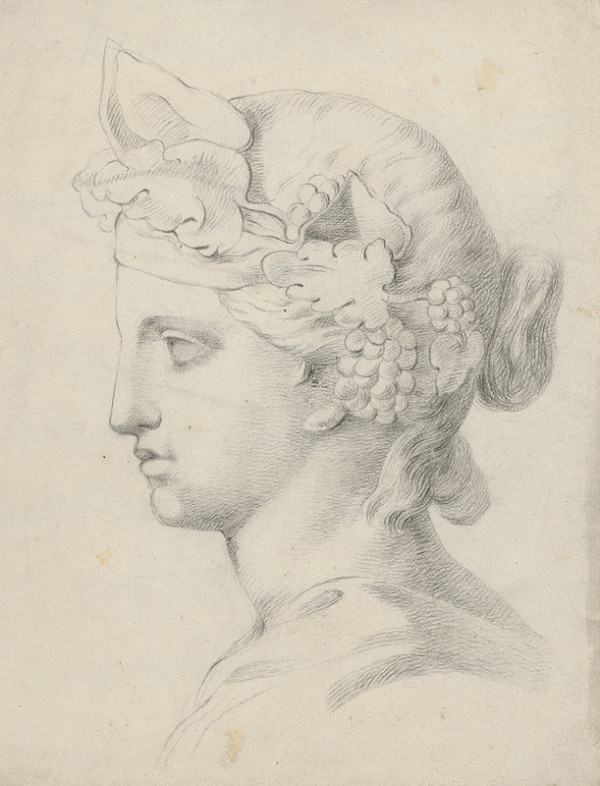 Autor z 2. polovice 19. storočia – Štúdia hlavy podľa sadrového modelu 