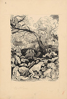 Arnold Peter Weisz-Kubínčan – Príbehy v divočine - 1 