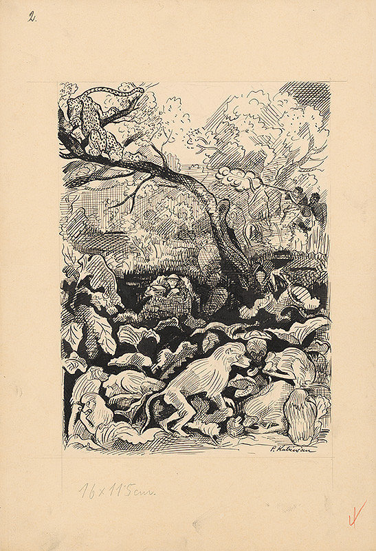 Arnold Peter Weisz-Kubínčan – Príbehy v divočine - 1 