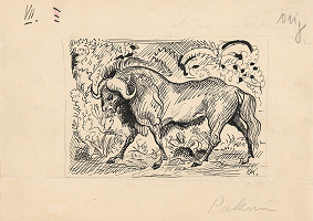 Arnold Peter Weisz-Kubínčan – Príbehy v divočine - 3 